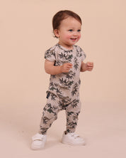 Grenouillère du parc Dino