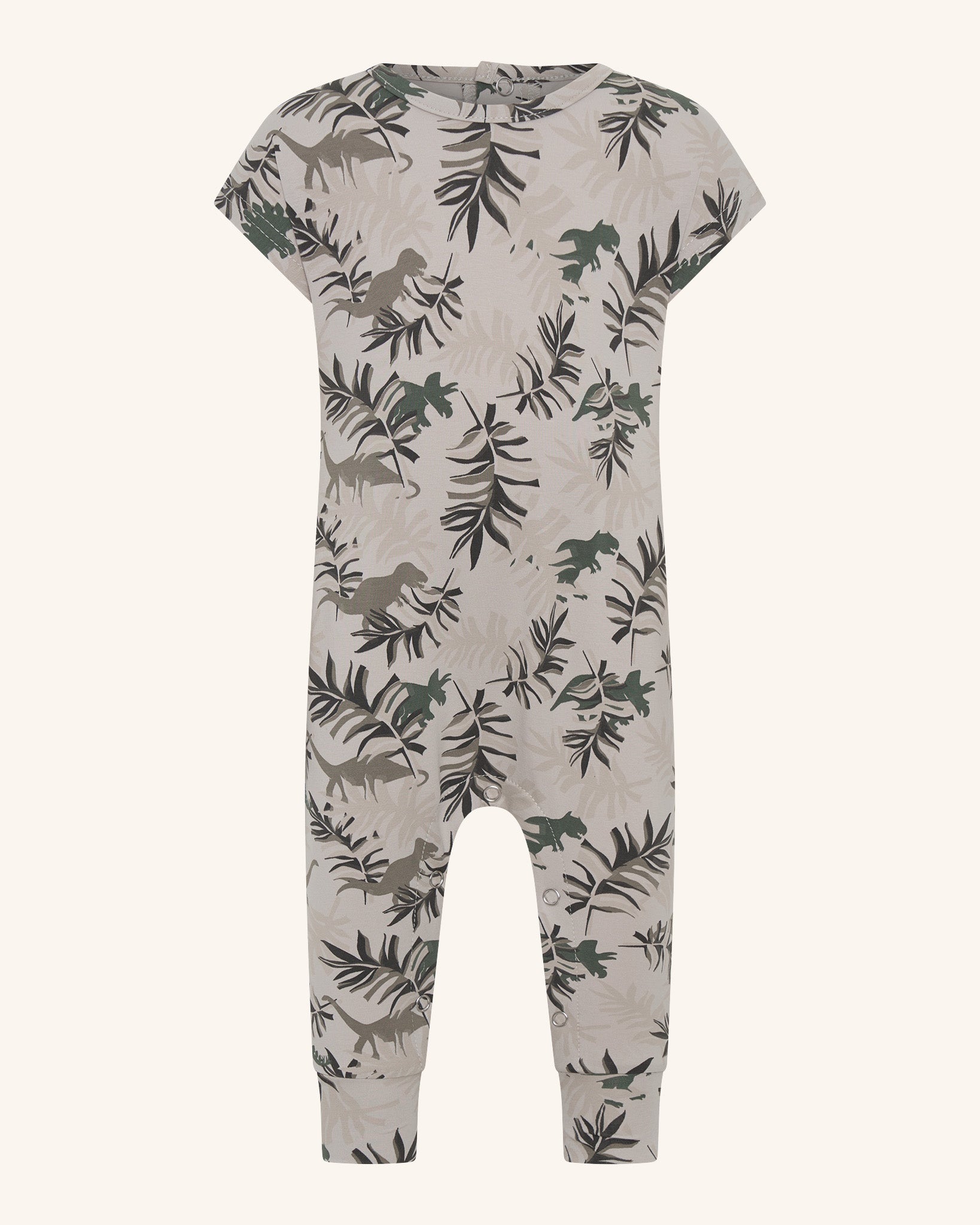 Grenouillère du parc Dino