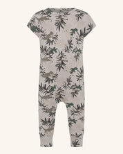 Grenouillère du parc Dino