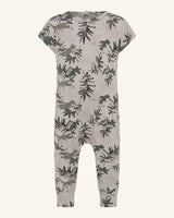 Grenouillère du parc Dino