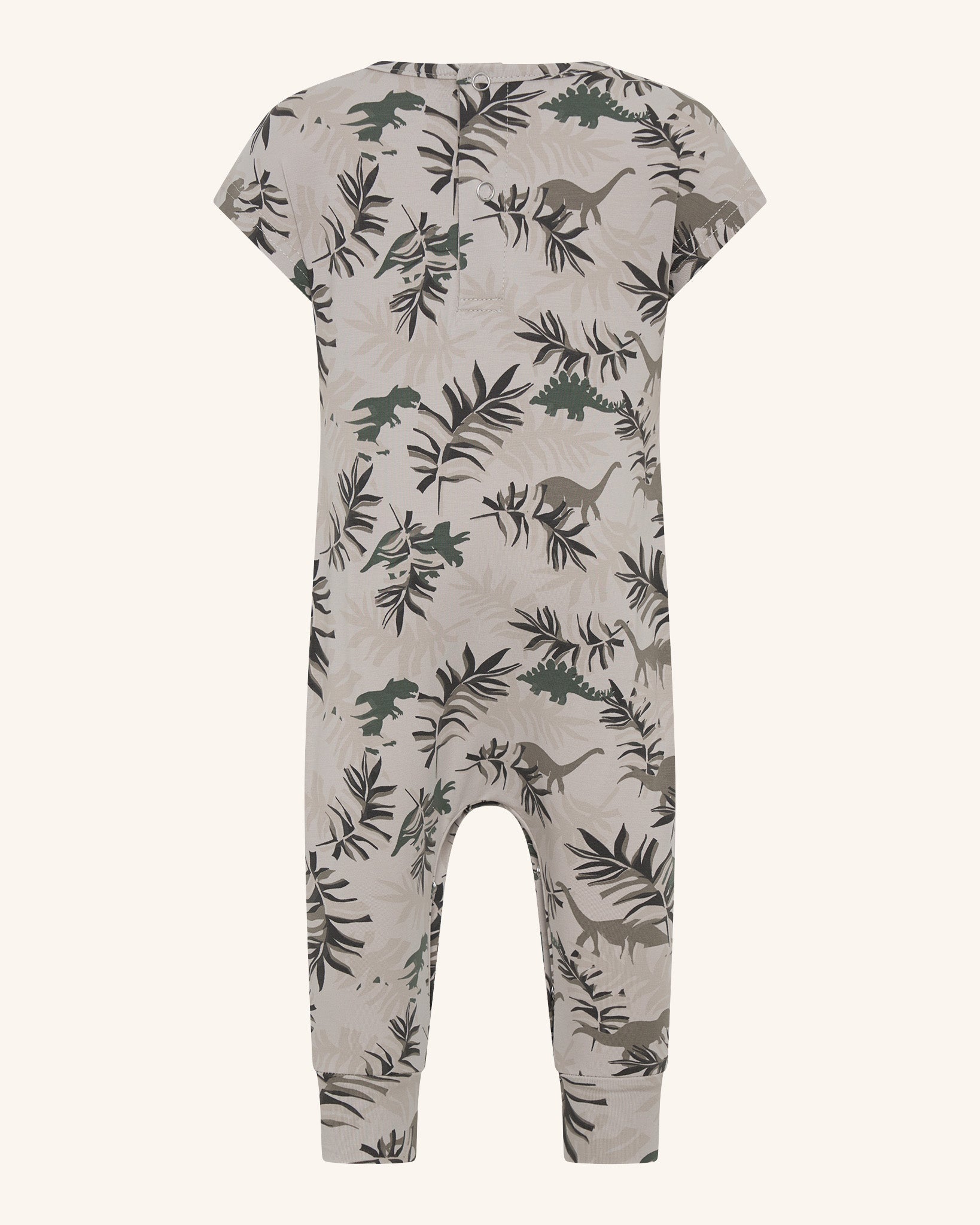 Grenouillère du parc Dino