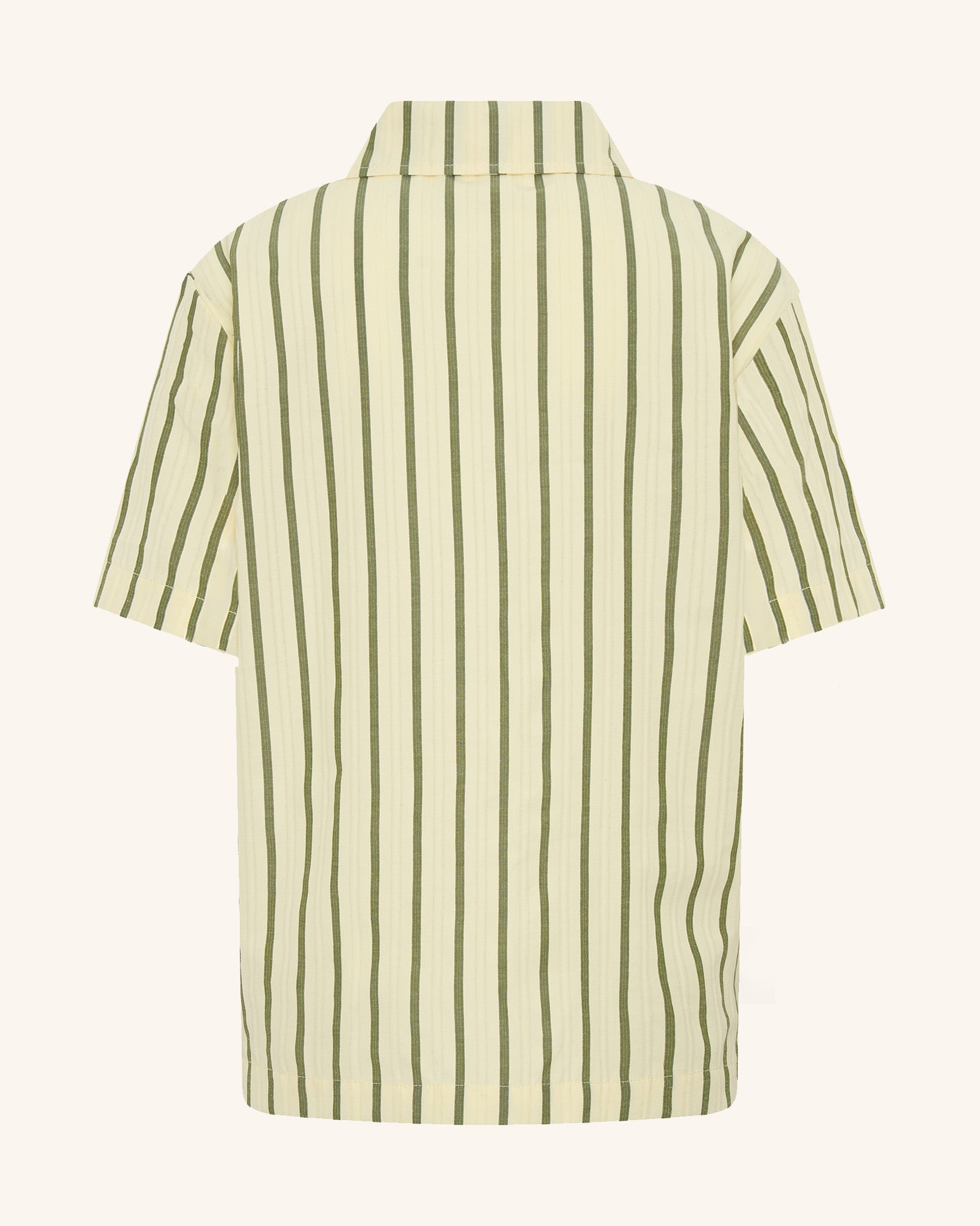 Vertical Stripe Polo Shirt